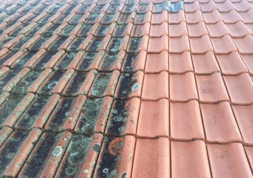 Roof Cleaning